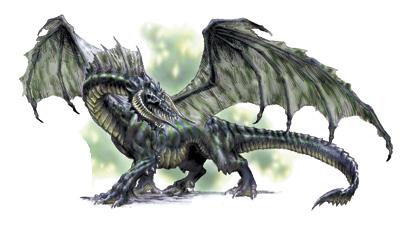 dragon 9